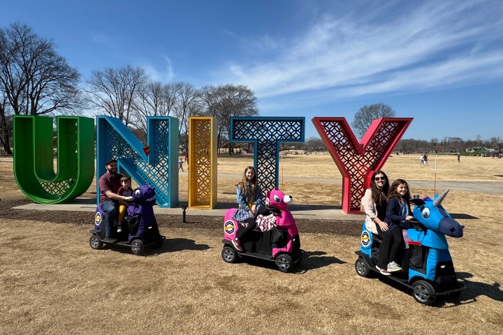 a group of people sitting at a park