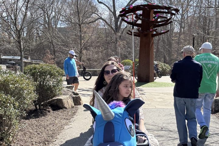 a group of people walking on a road